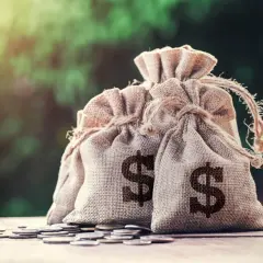 Dwa worki z symbolem dolara, leżące na drewnianym stole, otoczone monetami. Stanowią rzecz stanowiącą zabezpieczenie spłaty długu.