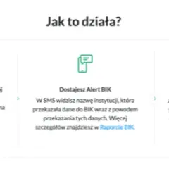 Czy alerty BIK są warte inwestycji? Ochrona przed oszustwami kredytowymi
