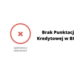 Co oznacza skrót BIK i jak wpływa na twoją zdolność kredytową