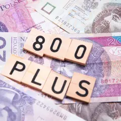 Drewniane klocki z napisami "800" i "PLUS" na polskich banknotach.