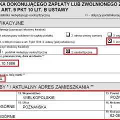 Jak wypełnić PCC-3 pożyczka - uniknij błędów i zyskaj pewność