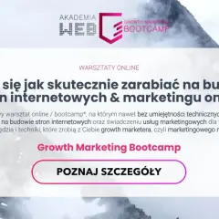 Pozycjonowanie stron ile można zarobić? Zarobki, które zaskakują!