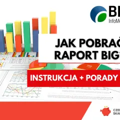 BIG InfoMonitor: Jak pobrać raport? Instrukcja + porady. Wykresy i dane finansowe.