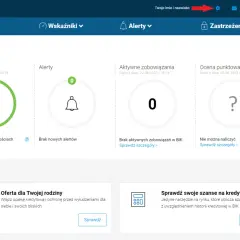 Panel BIK: brak opóźnień, alertów i zobowiązań. Sprawdź, jakie dane gromadzi BIK, by ocenić swoją zdolność kredytową.