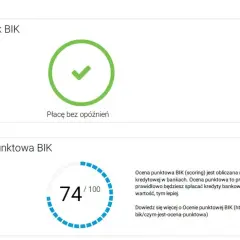 Wskaźnik BIK z zielonym zaznaczeniem i informacją "Płacę bez opóźnień". Poniżej ocena punktowa BIK 74/100.