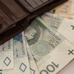 Brązowy portfel z polskimi banknotami 50, 100, 200 zł. Szukasz finansowania bez BIK, BIG, KRD?