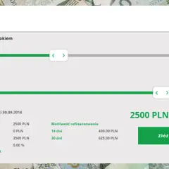 Czy Wandoo sprawdza BIK? Sprawdź, co to oznacza dla Twojej pożyczki