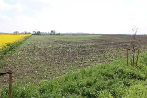 Rozległe pole z młodymi uprawami i kwitnącym rzepakiem. Idealne miejsce na inwestycję z kredytem preferencyjnym na zakup ziemi.