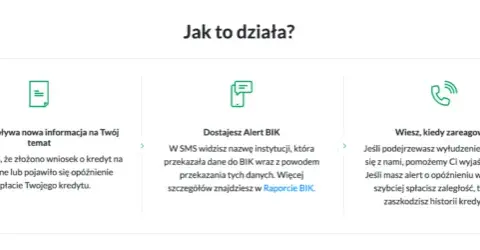 Czy alerty BIK są warte inwestycji? Ochrona przed oszustwami kredytowymi