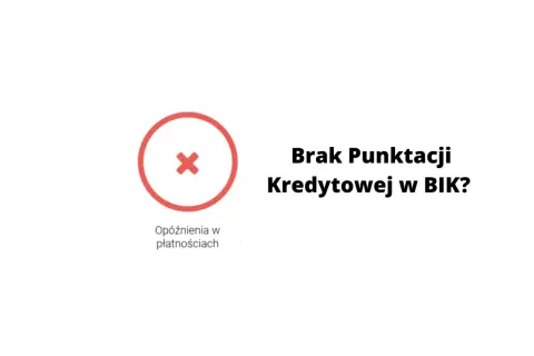 Co oznacza skrót BIK i jak wpływa na twoją zdolność kredytową