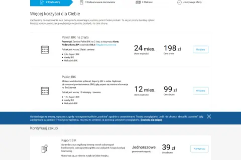 Jak sprawdzić rejestr BIK i uniknąć problemów z kredytem