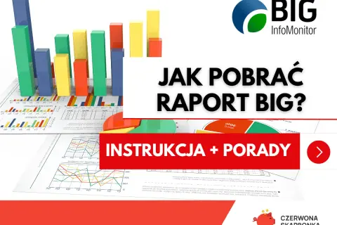 BIG InfoMonitor: Jak pobrać raport? Instrukcja + porady. Wykresy i dane finansowe.