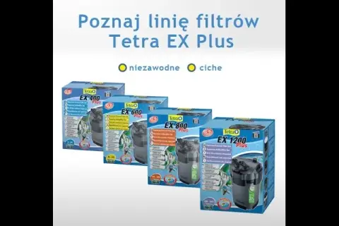 Tetra EX 800 Plus: Kompletny poradnik uniknij problemów!