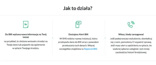Czy alerty BIK są warte inwestycji? Ochrona przed oszustwami kredytowymi