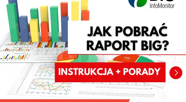 BIG InfoMonitor: Jak pobrać raport? Instrukcja + porady. Wykresy i dane finansowe.