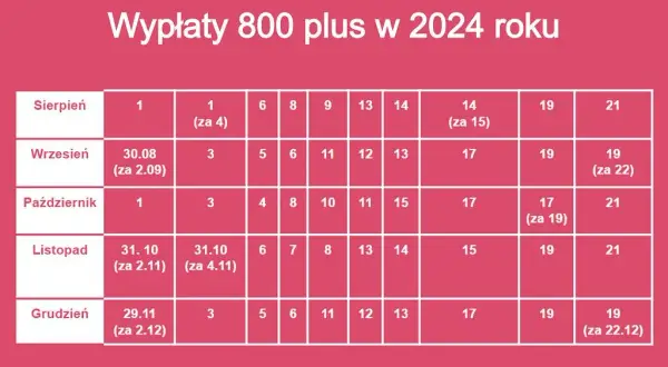 800 plus: Kompletny przewodnik. Jak złożyć wniosek i kiedy wypłata?