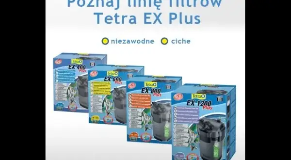 Tetra EX 800 Plus: Kompletny poradnik uniknij problemów!