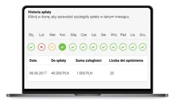 Czy Provident jest widoczny w BIK? Sprawdź, co to oznacza dla Ciebie