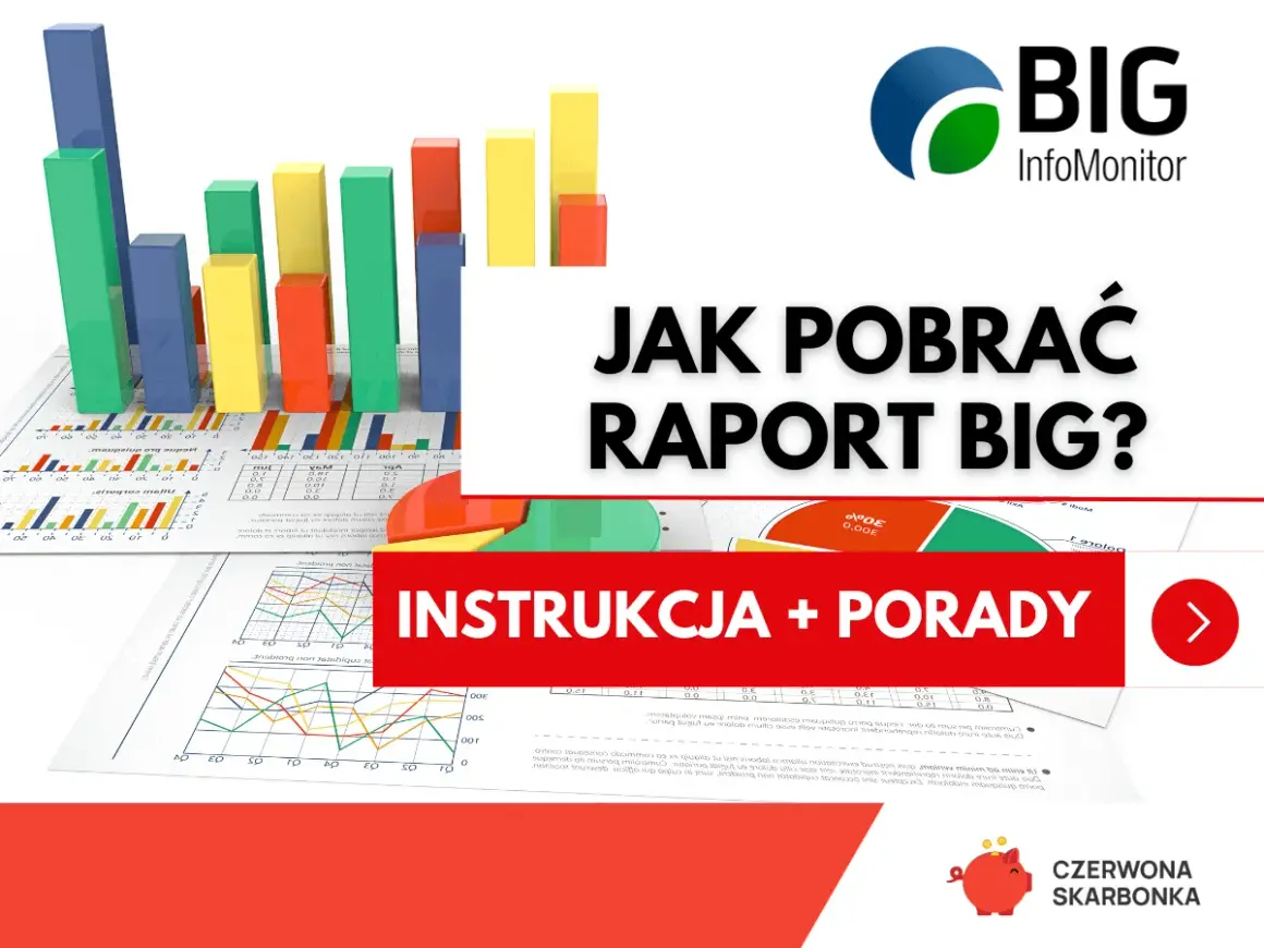BIG InfoMonitor: Jak pobrać raport? Instrukcja + porady. Wykresy i dane finansowe.