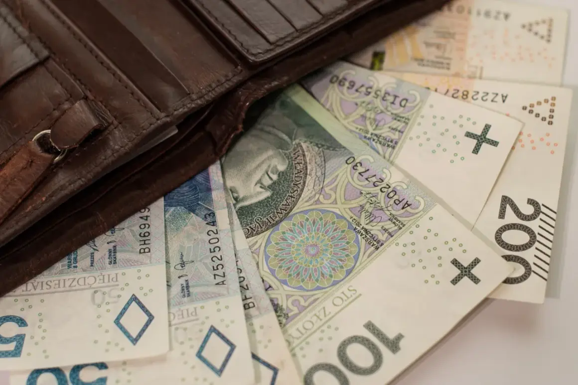 Brązowy portfel z polskimi banknotami 50, 100, 200 zł. Szukasz finansowania bez BIK, BIG, KRD?