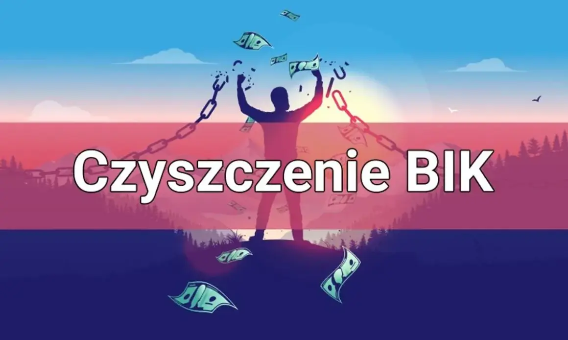 Czy można wyczyścić BIK? Oto prawda o usuwaniu negatywnych wpisów