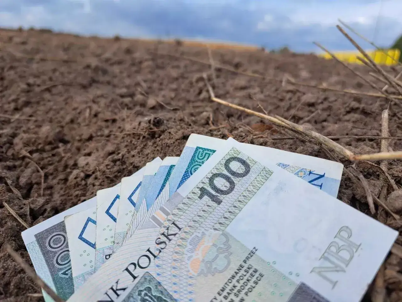 Kredyt preferencyjny na zakup ziemi – polskie banknoty leżą na świeżo zaoranej glebie.