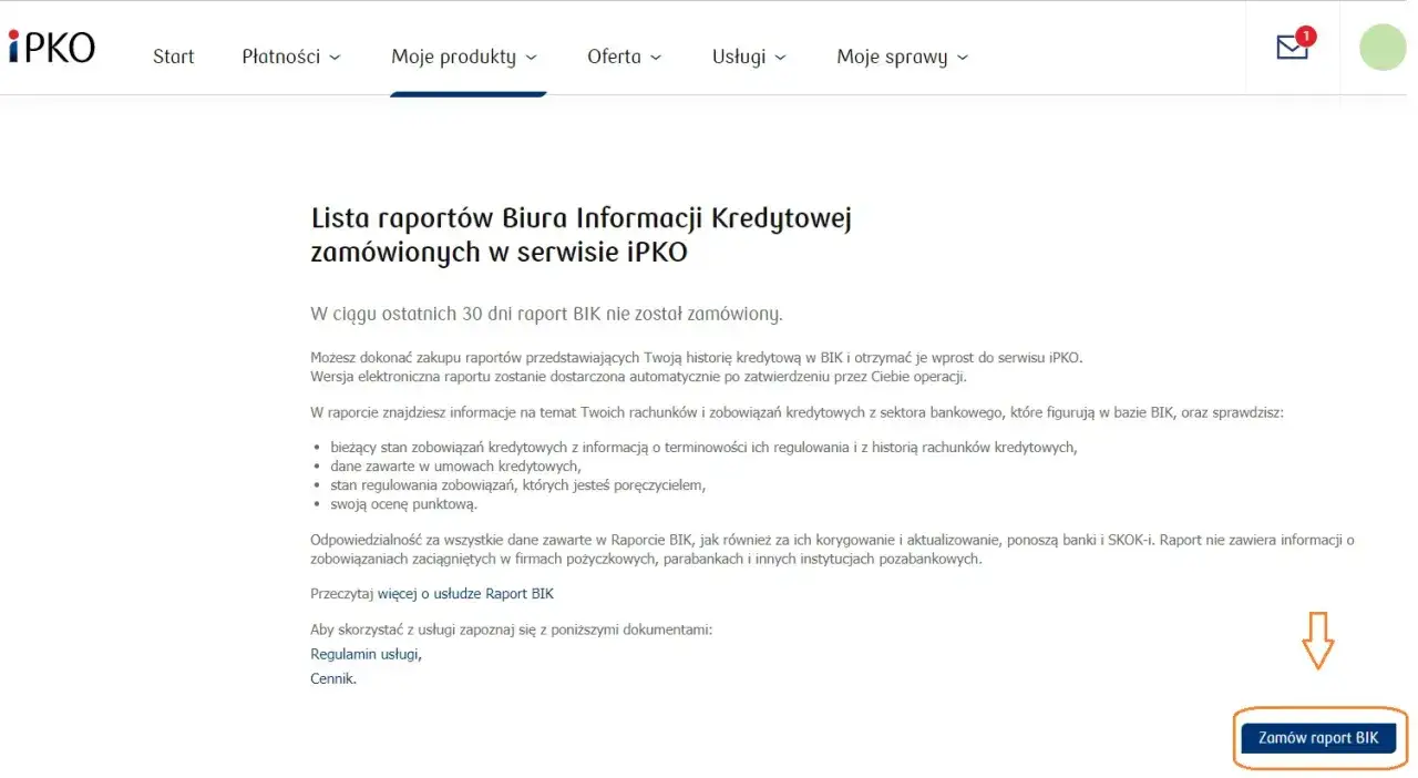 Zdjęcie Jak pobrać raport BIK w iPKO - proste kroki, które musisz znać