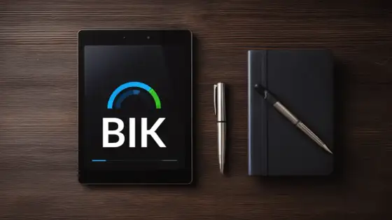 BIK vs BIG: Kluczowe różnice i jak sprawdzić swoje dane