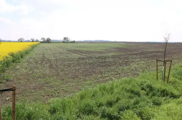 Rozległe pole z młodymi uprawami i kwitnącym rzepakiem. Idealne miejsce na inwestycję z kredytem preferencyjnym na zakup ziemi.