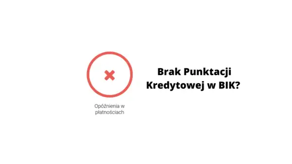 Co oznacza skrót BIK i jak wpływa na twoją zdolność kredytową