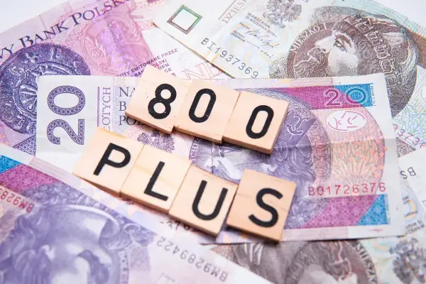 Drewniane klocki z napisami "800" i "PLUS" na polskich banknotach.