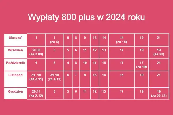 800 plus: Kompletny przewodnik. Jak złożyć wniosek i kiedy wypłata?